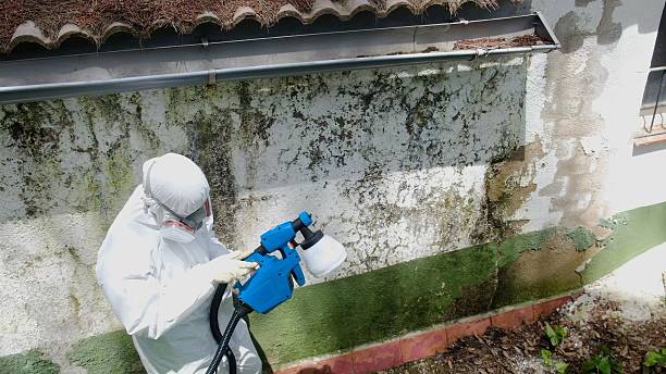 Top rated local Crawl Space Mold Remediation specialists in Norwood Young America, MN